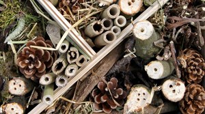 Go wild for nature and create a bug hotel