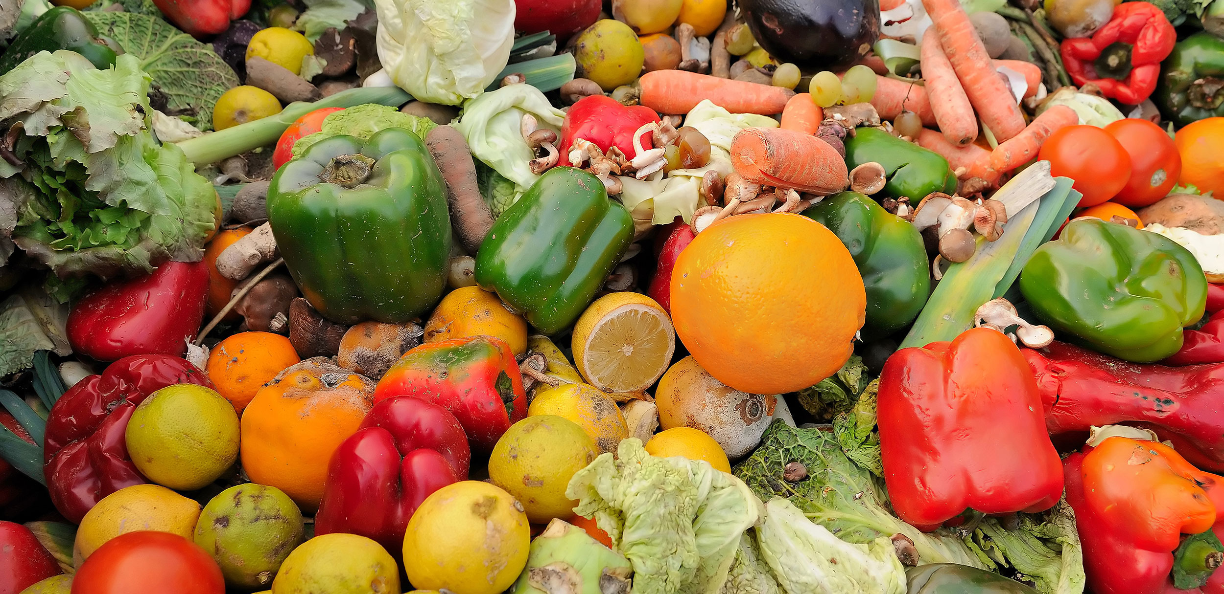 defra-publish-consultation-on-mandatory-food-waste-reporting-news